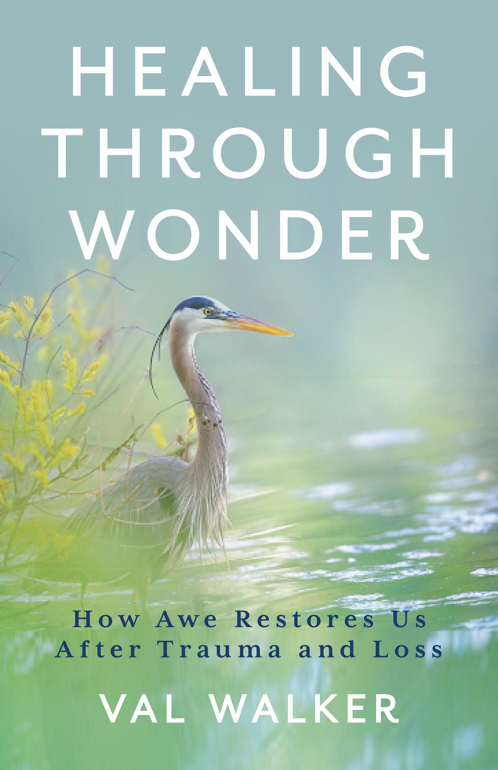 Author Val Walker’s book, Healing Through Wonder, demonstrates how sharing moments of awe and wonder can help people navigate grief and other challenges.