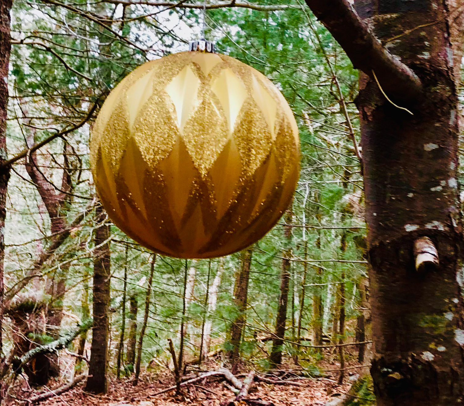 The holidays can present an elevated level of stress for those grieving the loss of a loved one.